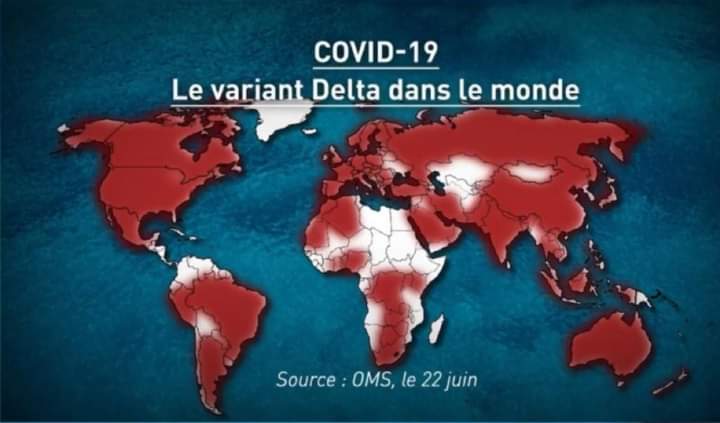 Covid-19 Afrique