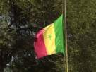 drapeau du Sénégal en berne.