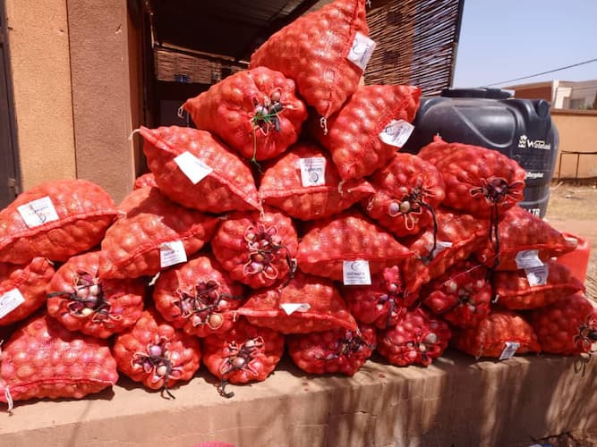 vente d’oignons sur les marchés